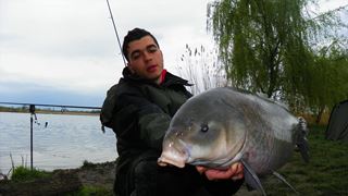Buffalo Carp - Tancabsti